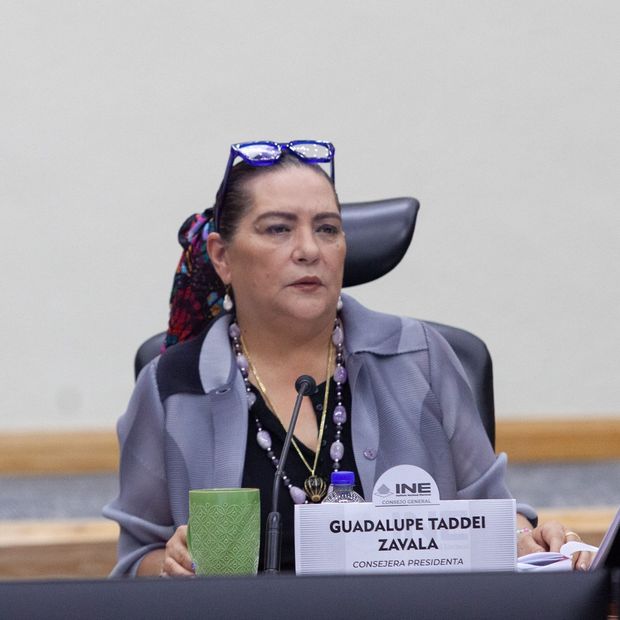 Recibe Cámara de Diputados Renuncia de Guadalupe Taddei